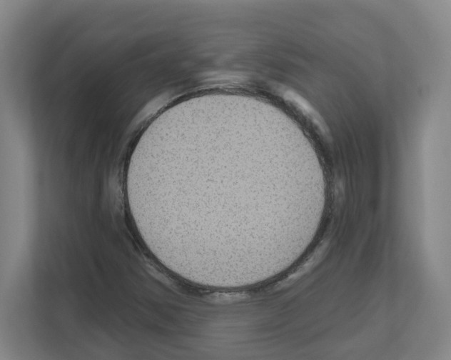 X0000111161354200908111145