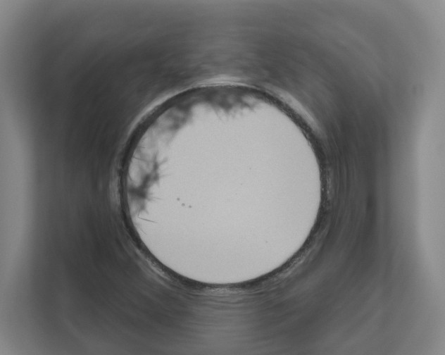 X0000111161356200908111145