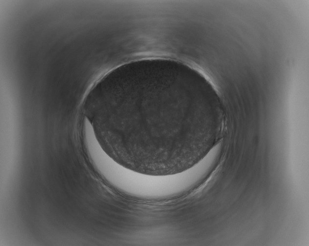 X0000111161357200908111145