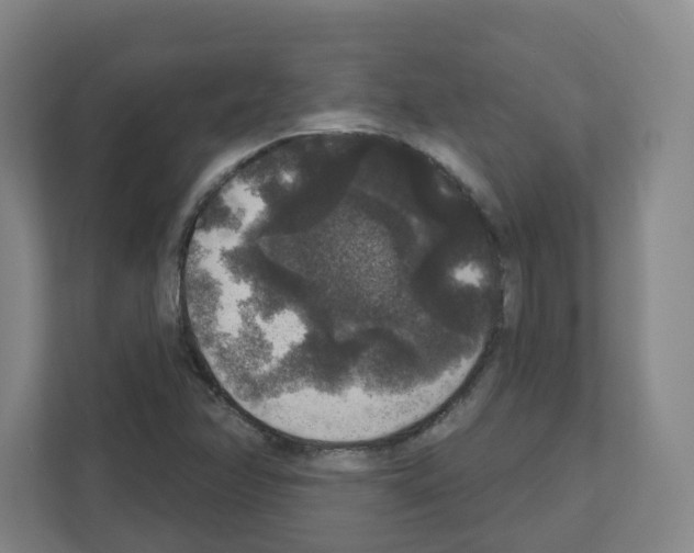 X0000111161358200908111145