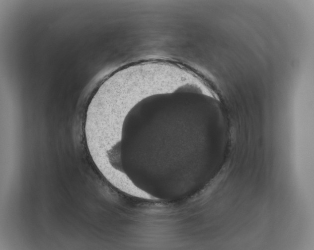X0000111161359200908111145