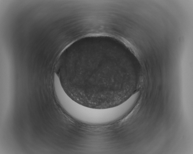 X0000111161361200908111145