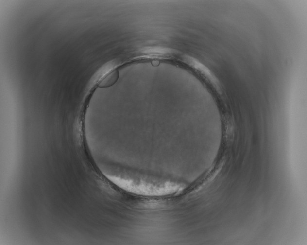 X0000111161362200908111145