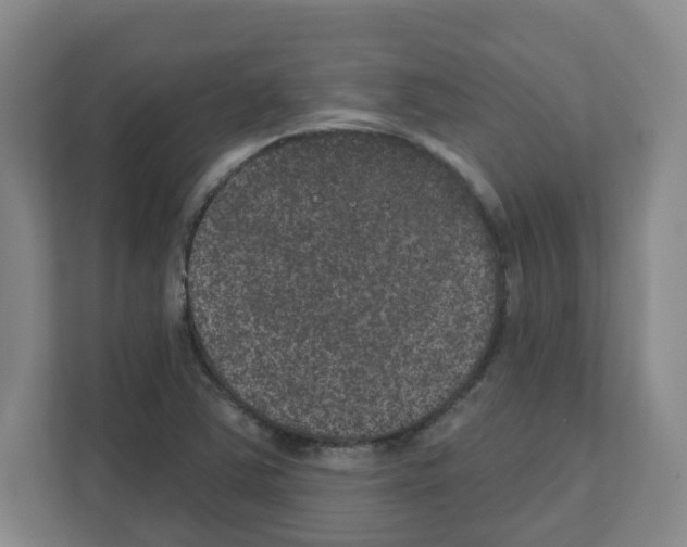 X0000111161363200908111145