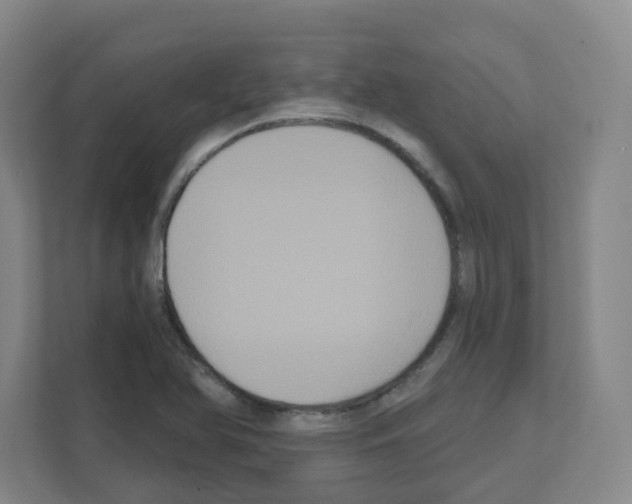 X0000111161366200908111145