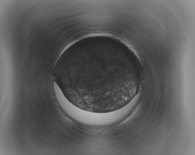 X0000111161369200908111145
