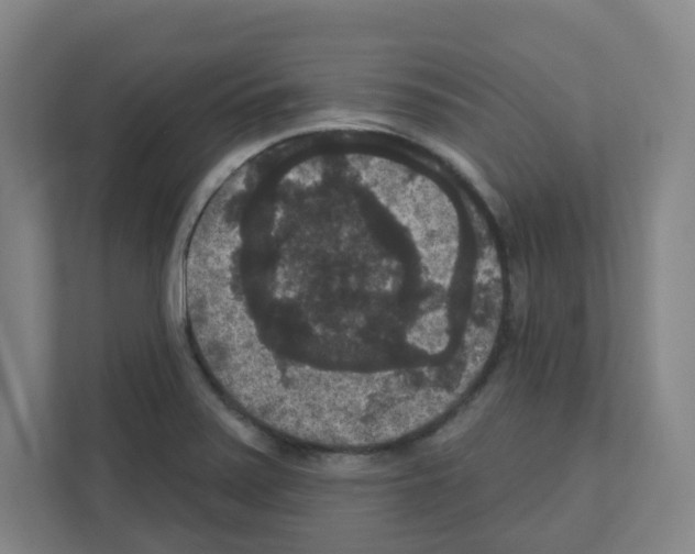 X0000111161371200908111145