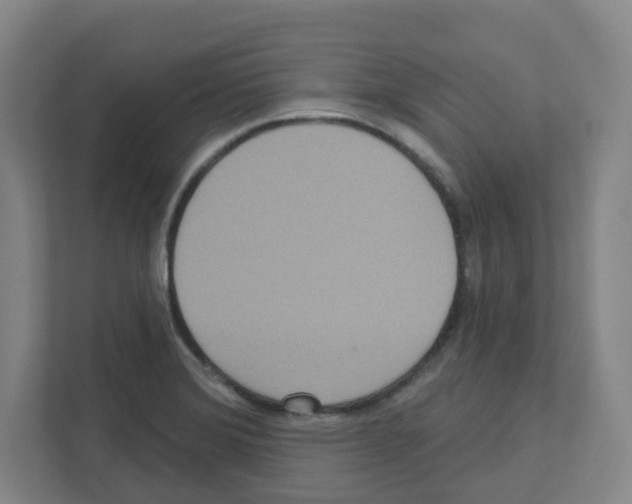 X0000111161372200908111145