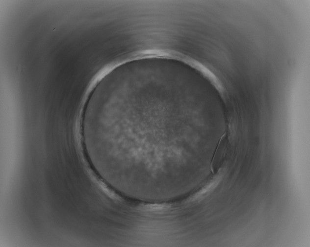 X0000111161373200908111145
