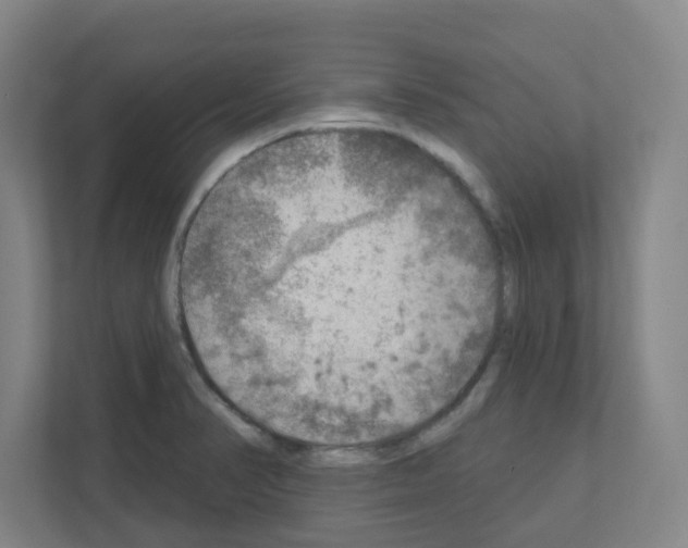 X0000111161374200908111145