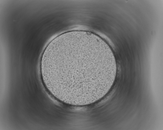 X0000111161375200908111145