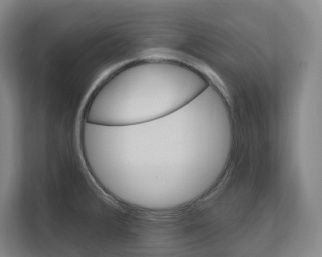 X0000111161376200908111145