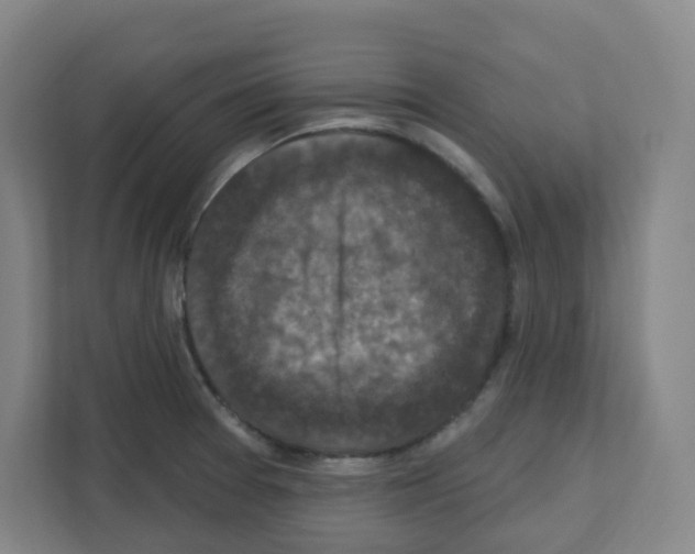 X0000111161377200908111145