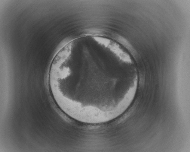 X0000111161378200908111145