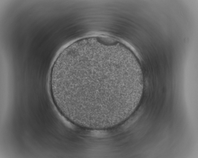 X0000111161379200908111145