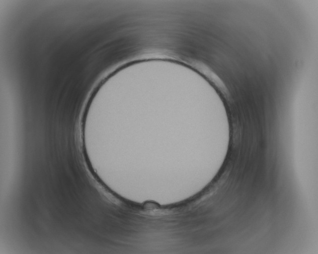 X0000111161380200908111145