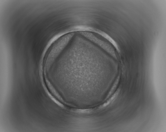 X0000111161381200908111145