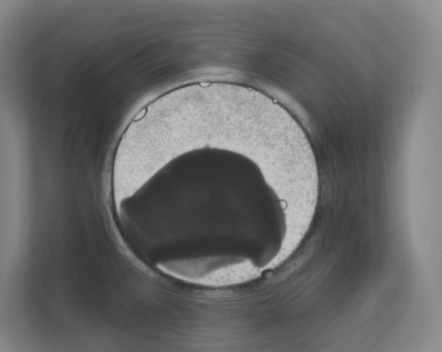 X0000111161383200908111145