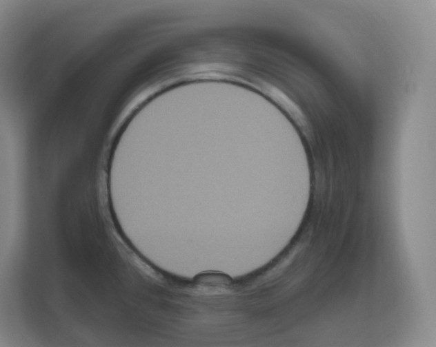 X0000111161384200908111145