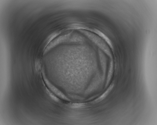 X0000111161385200908111145