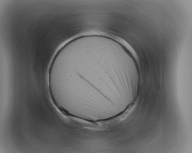 X0000111161388200908111145