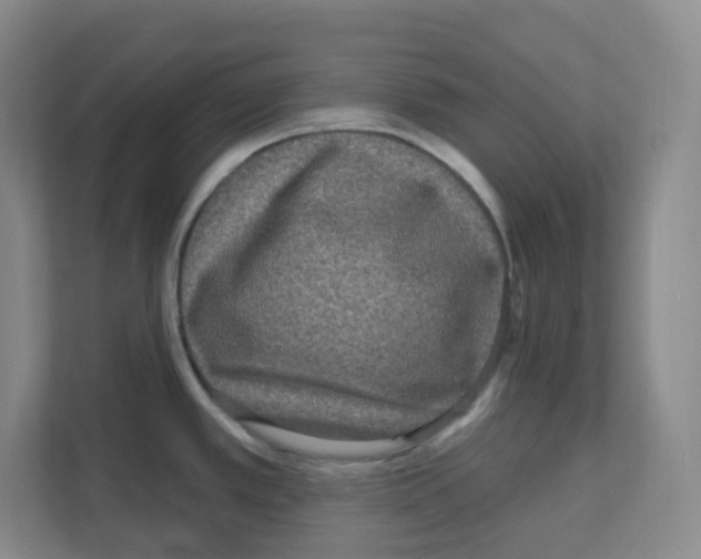 X0000111161389200908111145