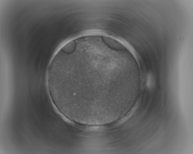 X0000111161390200908111145