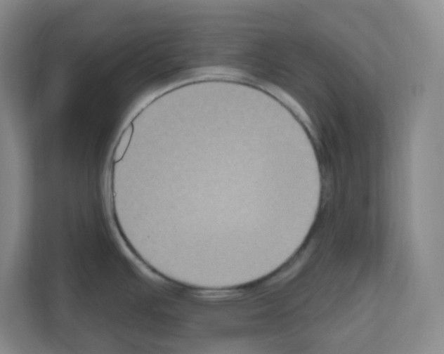 X0000111161391200908111145
