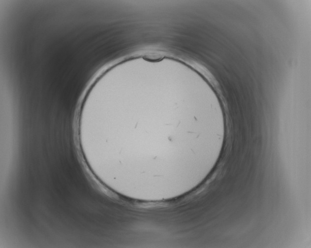 X0000111161392200908111145