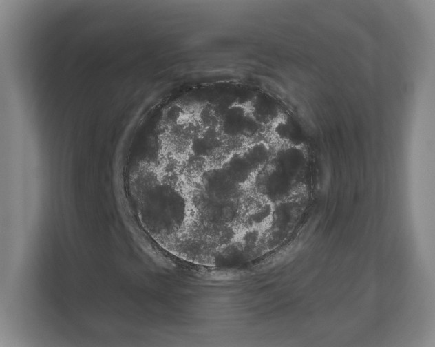 X0000111161393200908111144