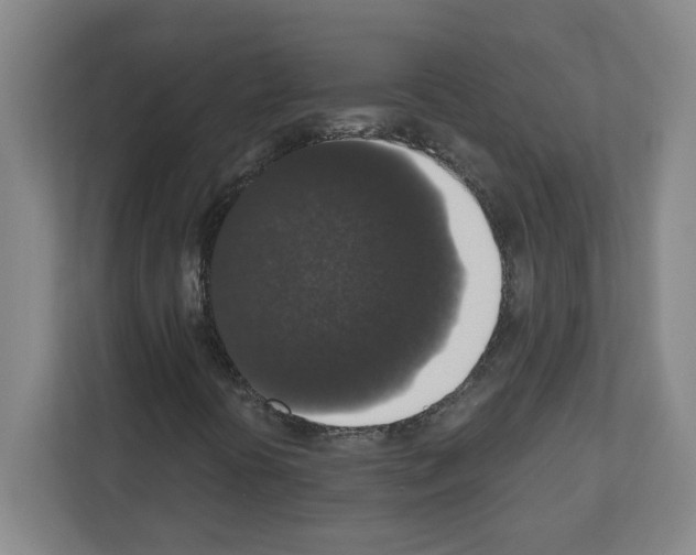 X0000111161394200908111144