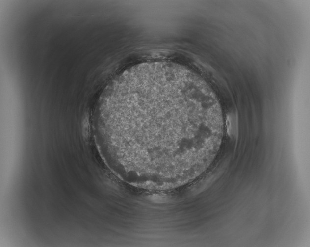 X0000111161395200908111144