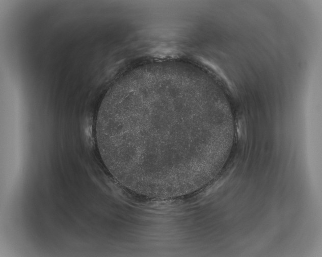 X0000111161396200908111144