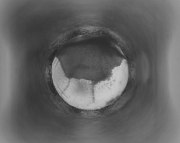 X0000111161397200908111144