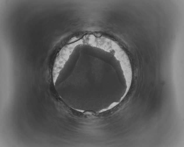 X0000111161398200908111144