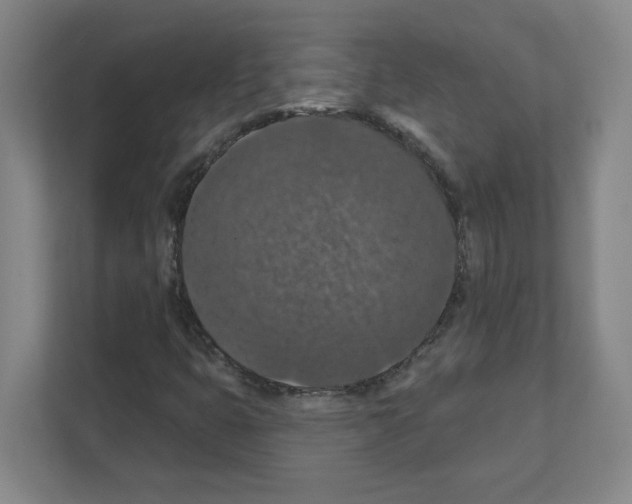 X0000111161399200908111144