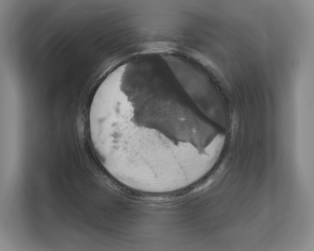 X0000111161401200908111144
