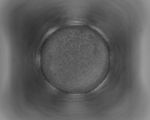 X0000111161402200908111144