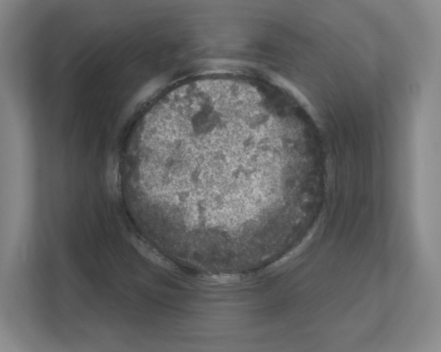 X0000111161403200908111144