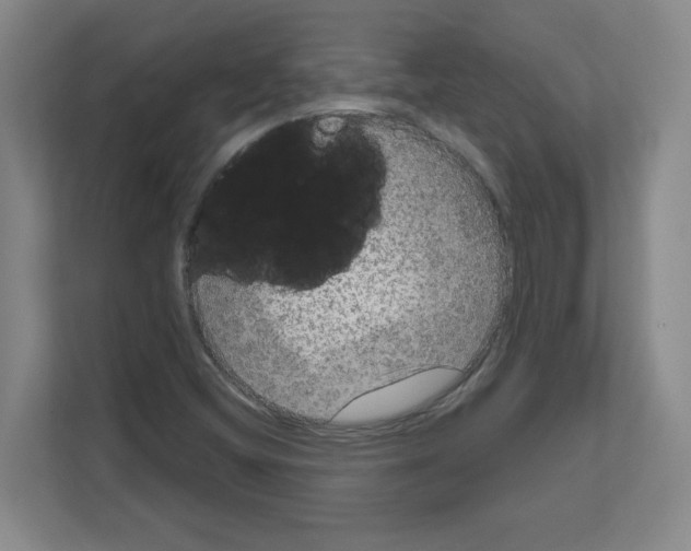 X0000111161404200908111144
