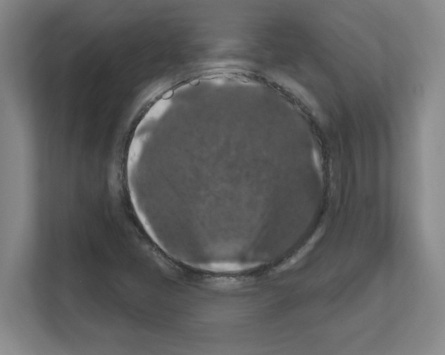X0000111161405200908111144