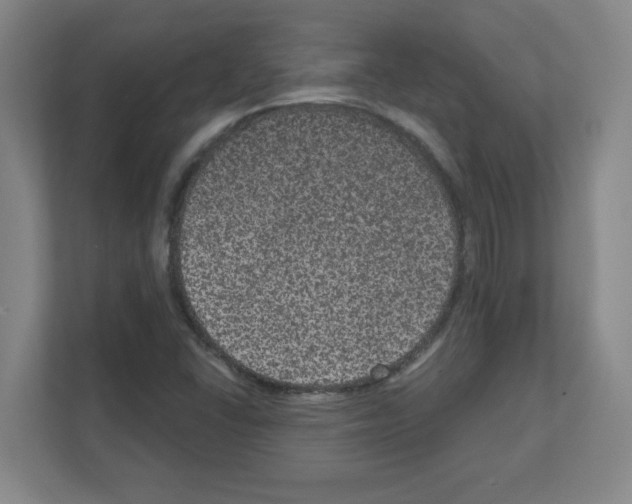 X0000111161406200908111145