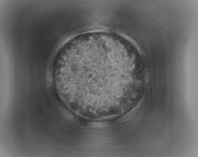 X0000111161407200908111145