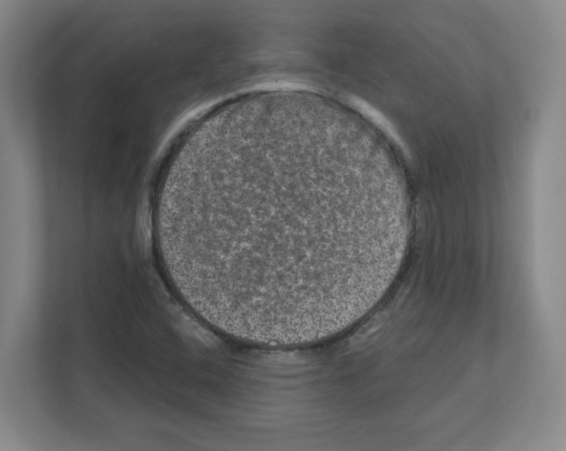 X0000111161408200908111145