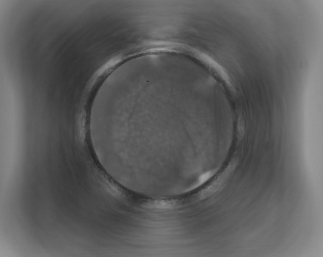X0000111161411200908111145