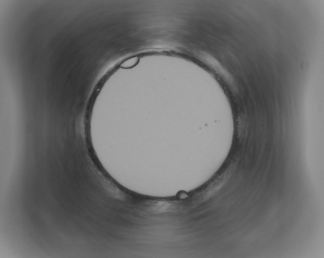 X0000111161412200908111145