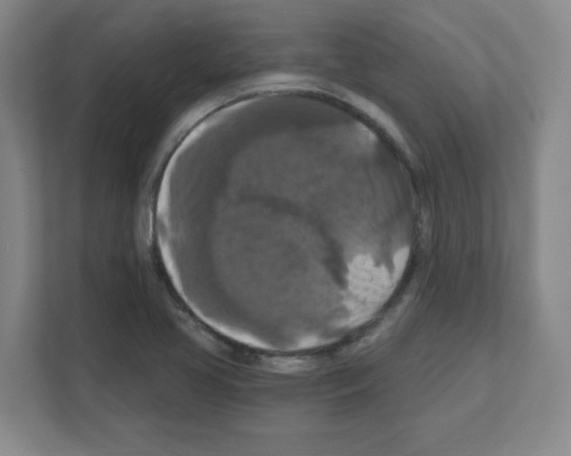 X0000111161413200908111145