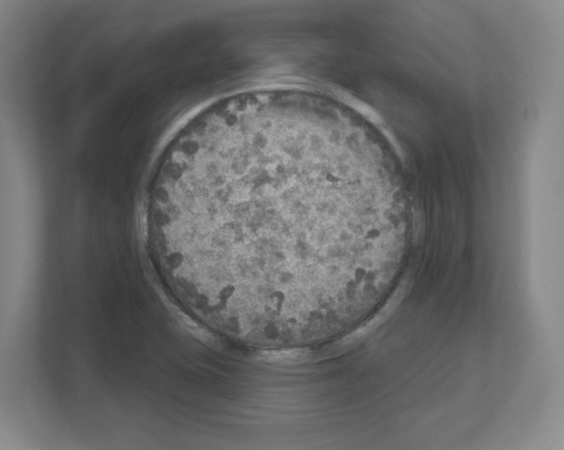 X0000111161415200908111145