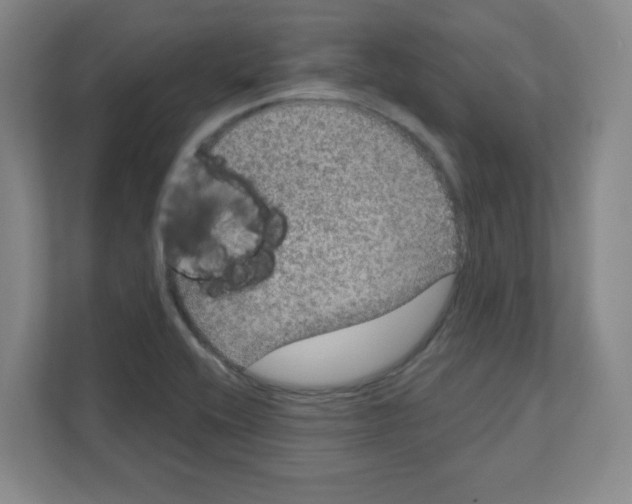 X0000111161416200908111145