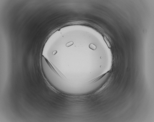X0000111161417200908111145